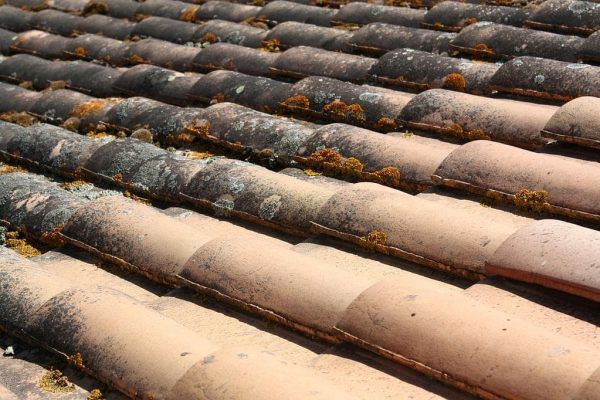 Nettoyage de toiture en tuiles à Pessac